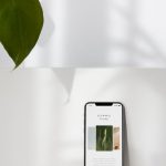 Application des plantes médicinales dans le traitement des blessures sportives