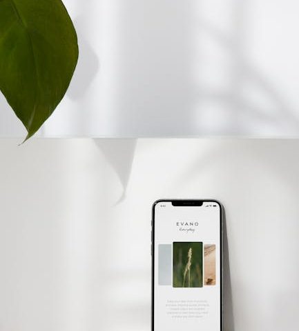 Application des plantes médicinales dans le traitement des blessures sportives