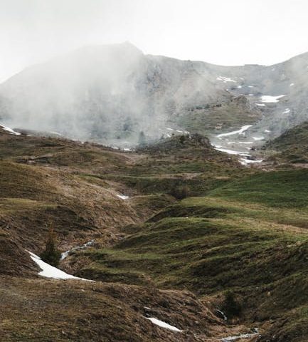 L’ostéopathie dans le traitement des blessures tendineuses