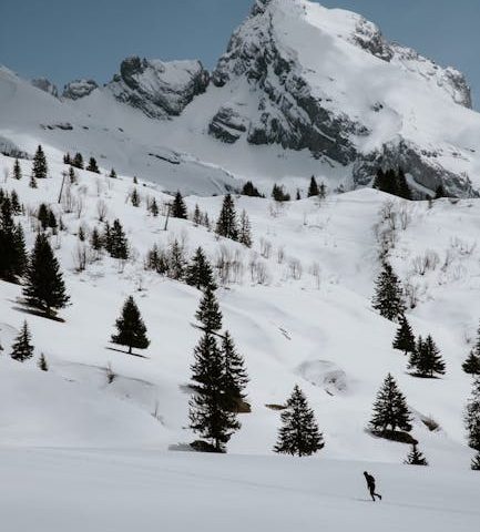 L’ostéopathie dans le traitement des microtraumatismes articulaires