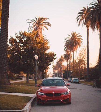 Avantages thérapeutiques de la médecine manuelle dans les entorses