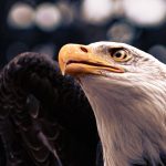 La décompression neurovertébrale pour soulager les douleurs dorsales sportives