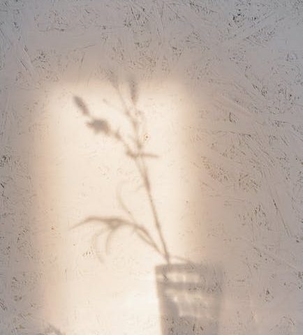 L’ostéopathie dans la réduction du stress musculaire chez l’athlète