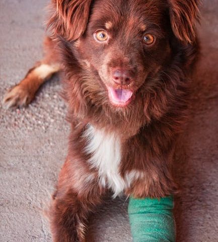 Protocoles avancés en thérapie au laser pour la réhabilitation sportive