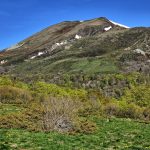 La shockwave pour le traitement des blessures sportives chez les adolescents