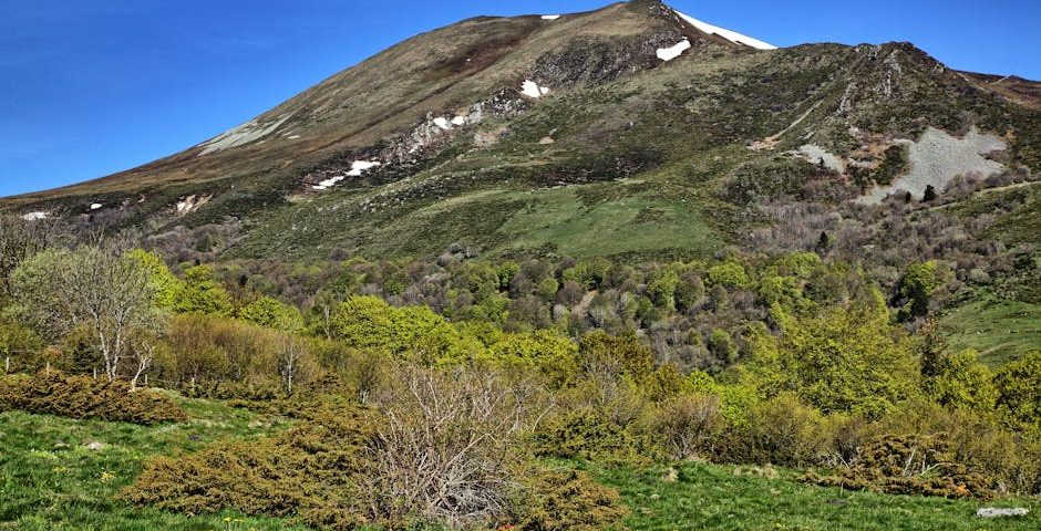 La shockwave pour le traitement des blessures sportives chez les adolescents