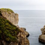 Comment la naturopathie favorise une récupération sans effets secondaires